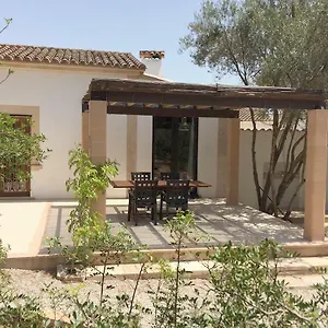 Tortugas , Campos (Mallorca) Spanien